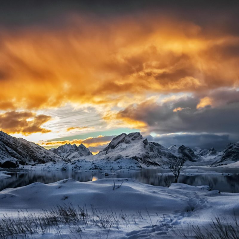 beleza artica selvagem e exclusiva, lofoten